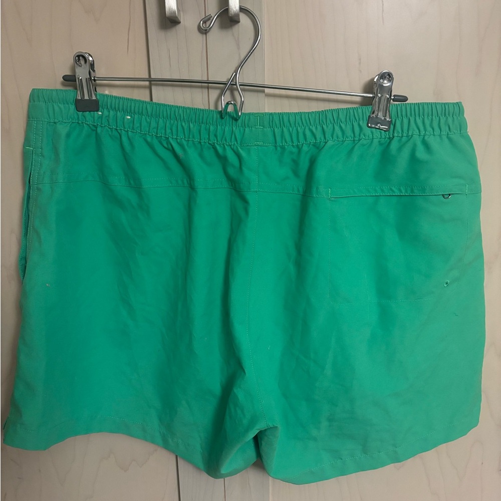 The North Face Teal Shorts